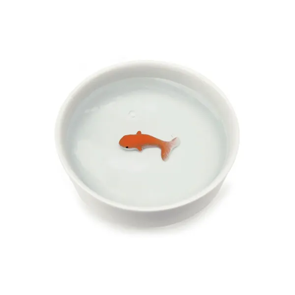 Bol Poisson Rouge Pour Chat-Sélectionné par Fleux Online