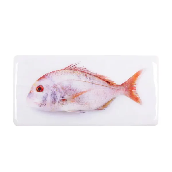 Décoration Murale Daurade Rose - 40 X 20 Cm-Stigerwoods New