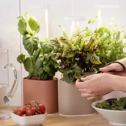Jardin D'Interieur Connecte Nano Garden - Vert Foret-Prêt à pousser Outlet