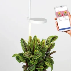 Jardin D'Interieur Connecte Nano Garden - Vert Foret-Prêt à pousser Outlet