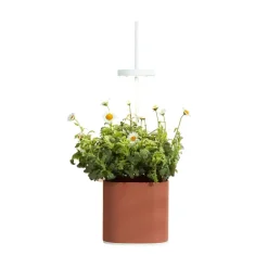Jardin D'Interieur Connecte Nano Garden - Terracotta-Prêt à pousser Online