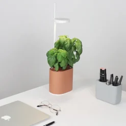 Jardin D'Interieur Connecte Nano Garden - Terracotta-Prêt à pousser Online