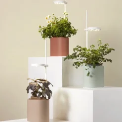 Jardin D'Interieur Connecte Nano Garden - Terracotta-Prêt à pousser Online