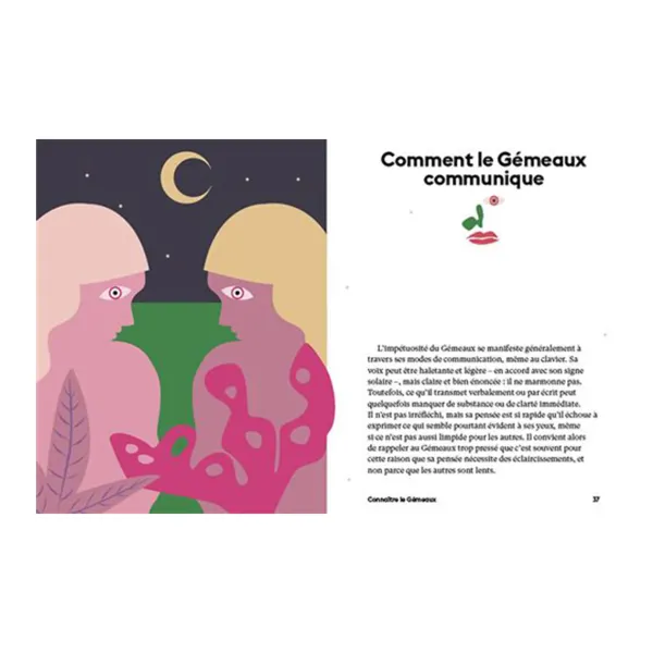Livre Astrologie Signe Gemeaux-Hachette
