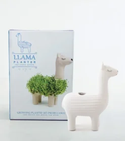 Pot / Jardiniere Chia Lama-Sélectionné par Fleux
