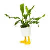 Pot / Jardiniere Pieds Canards - Jaune & Blanc-Sélectionné par Fleux Best