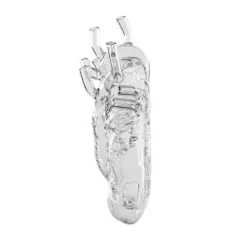 Vase Coeur Love In Bloom Verre-Seletti Hot